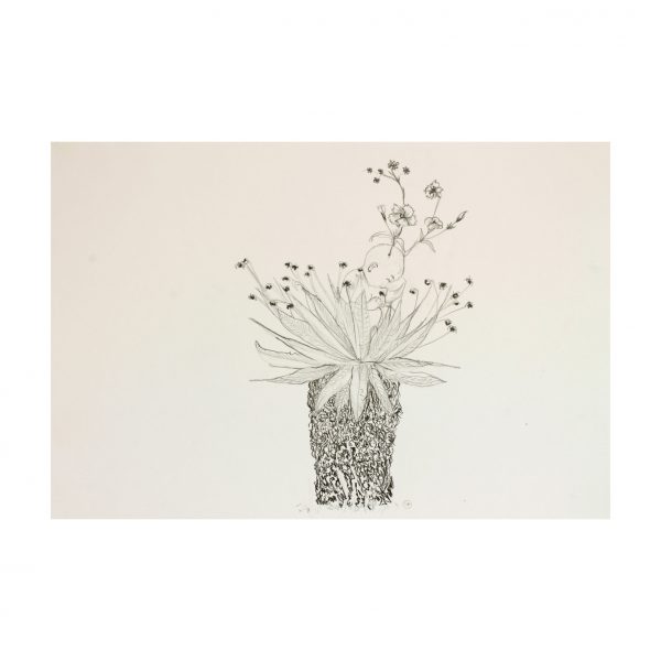 Dibujo: ALUMBRAMIENTO
